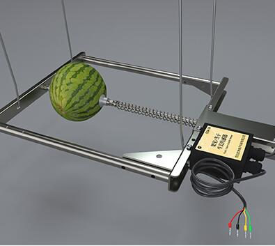 树干生长传感器、西瓜生长传感器