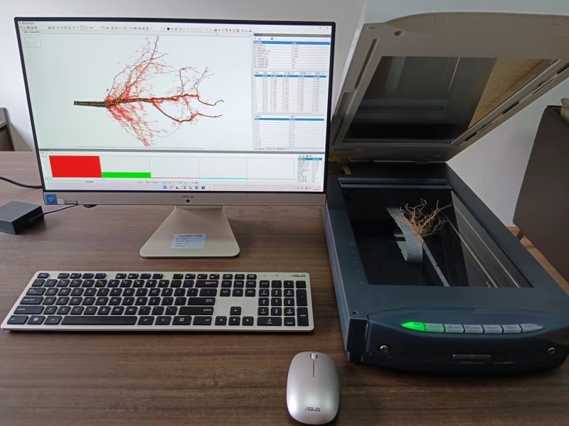 植物根系分析系统