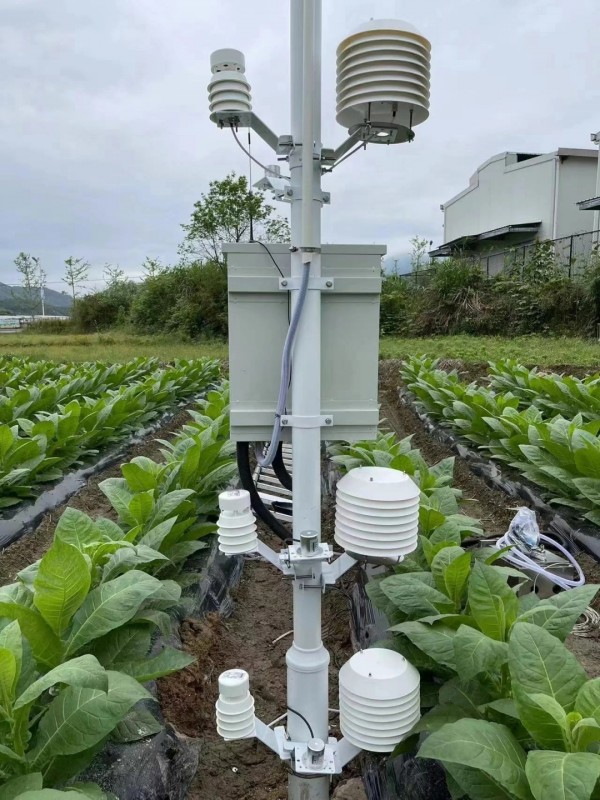 云南烟草种植基地墒情气象监测系统安装落成！